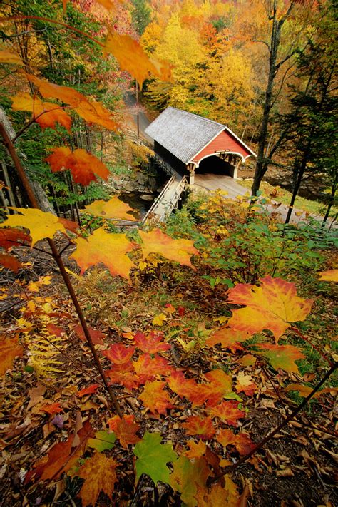 Beautiful Autumn Bridges Wallpapers Wallpaper Cave