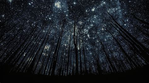 Night Sky Full Of Stars Hd Wallpaper [1920 X 1080] Hd Wallpapers