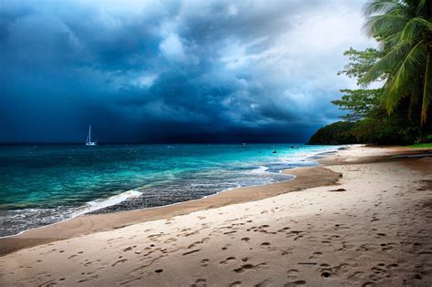 Tropical Palm Trees Beach Sand Storm Sea Island Clouds Malaysia