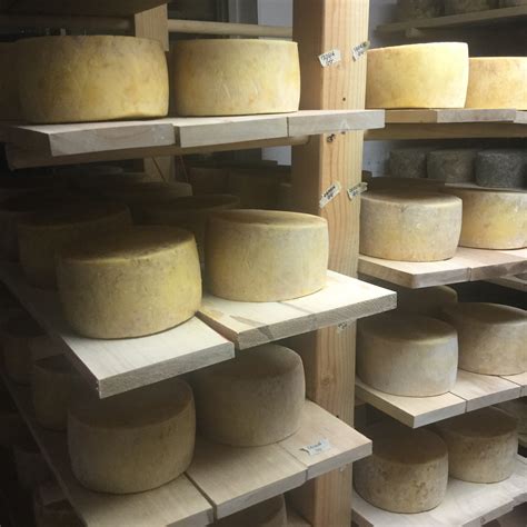 Our Cheese Cellars Are Full August 2017 Clover Creek Cheese Cellar