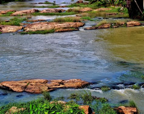 River Stream Free Image By Parimalamohan On