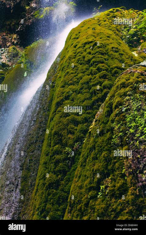 Tropical Rainforest Waterfall Hi Res Stock Photography And Images Alamy