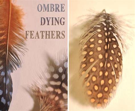 How To Dye Feathers Diy Dye Feather Crafts Feather