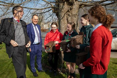 Green Schools Project Secures National Recognition For Loreto Secondary