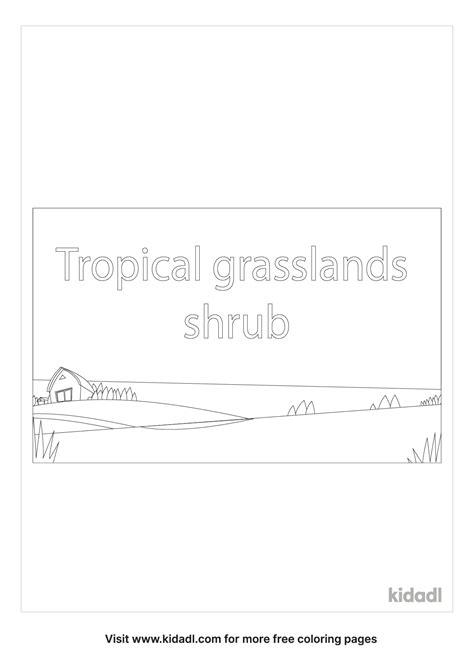 Free Tropical Grasslands Shrub Coloring Page Coloring Page Printables
