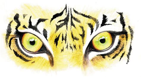 Free Tiger Eyes Cliparts Download Free Clip Art Free Clip Art On