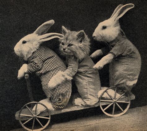 Vintage Clip Art Bunnies And Kitten The Graphics Fairy