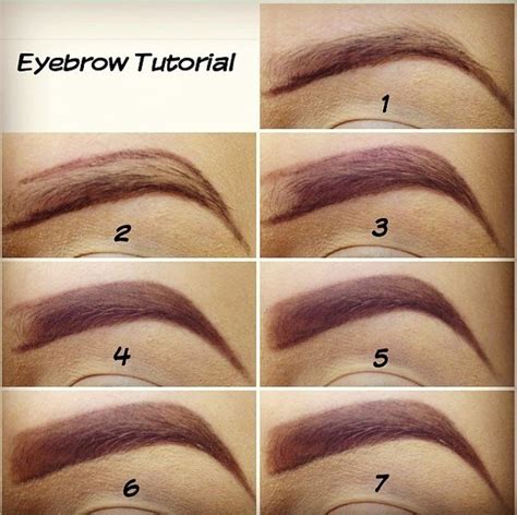 Eyebrow Tutorial Musely