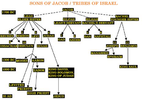 12 Tribes Of Israel Segullapeople