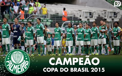 Domingo de estreia em casa pelo brasileirão! Palmeiras Wallpapers (64+ images)