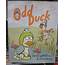 New Book Odd Duck By Cecil Castellucci And Sara Varon  First Second