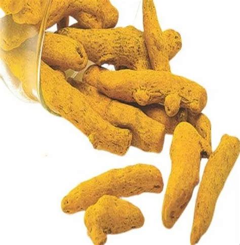 Erode Raw Turmeric Finger For Cooking Packaging Size 40kg At Rs 100