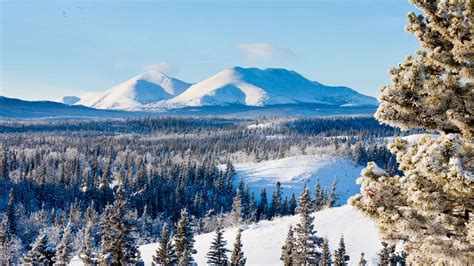 Six Of The Best Winter Adventures In The Yukon