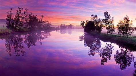 Purple Cloudy Sky Above Lake With Trees Reflection 4k 8k Nature Hd