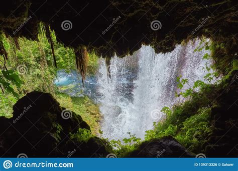 Jungle Beautiful Waterfall Mountain River Stream