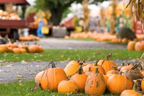 Best Fall Events In New York City