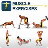 Pictures of Muscle Exercises To Do At Home