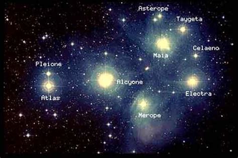 Welcome Lucys To The Truth Pleiades Pleiadian Message From The
