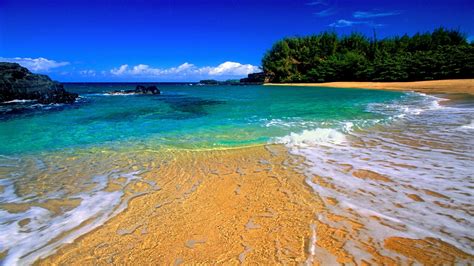 Oceanfront Wallpapers Beach Hawaii Beaches Wallpapers Desktop Ocean My Xxx Hot Girl
