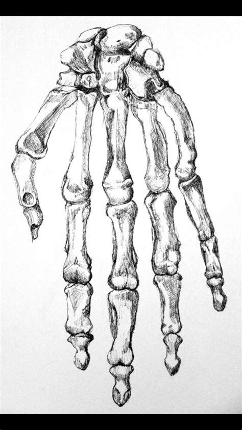 Skeleton Hand How To Draw Hands Skeleton Drawings Skeleton Hands