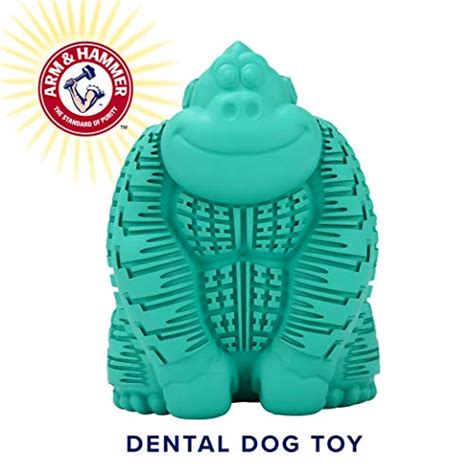 Arm And Hammer Super Treadz Gator And Gorilla Chew Toy For Dogs Best