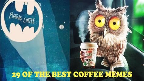 29 Funny Coffee Memes To Keep You Laughing Craft Coffee Guru