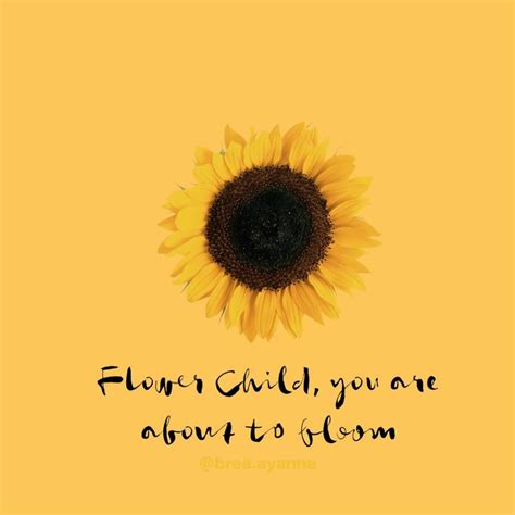 Sunflower Quote From Brea Y🌸 Breaayanna On Instagram “2018🌱 2019 🌼