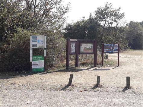 Cudmore Grove Country Park Mersea Island 2020 All You Need To Know