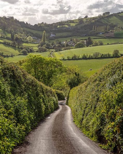 Country Road In Beautiful Devon~ Just Spent The Most Beautiful Week In