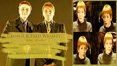 Weasley Twins Potter Harry Fred George Vs
