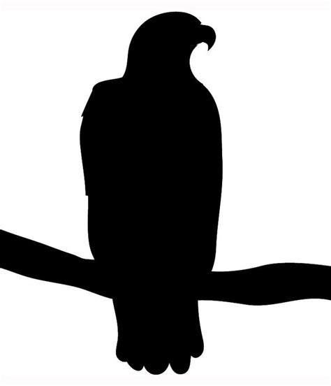 Bird Silhouettes Eagle Silhouette Bird Silhouette Silhouette Art