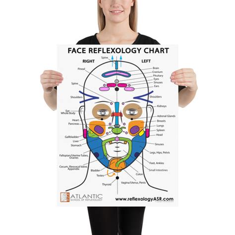 Face Reflexology Poster 18x24 Asr Reflexology