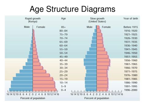 Age Structure Diagram Types