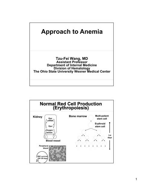 Pdf Approach To Anemia Final Handout To Anemia Final 2pdf3 Anemia