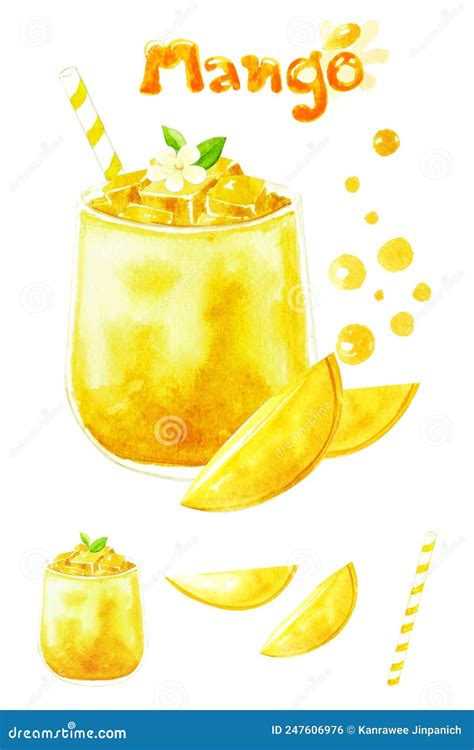 Watercolor Collection Hand Drawn Illustration Of Mango Smoothie And
