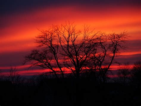 Free Images Tree Nature Cloud Sunrise Sunset Dawn Atmosphere