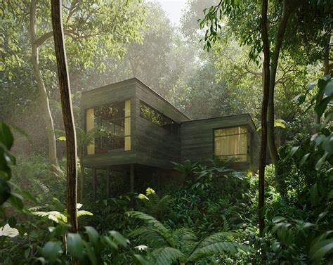 House In The Rainforest Finished Projects Blender Artists Community