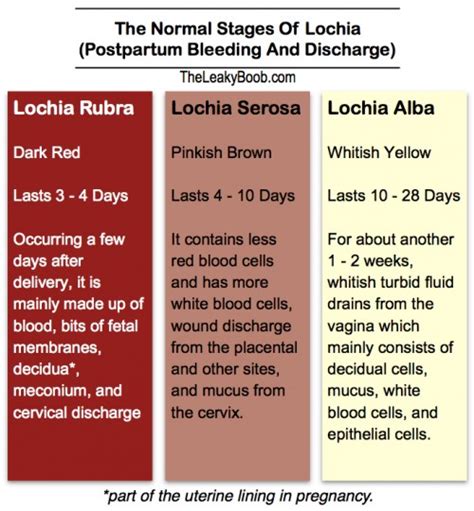 Normal Postpartum Bleeding And Discharge And The Return Of Your Period