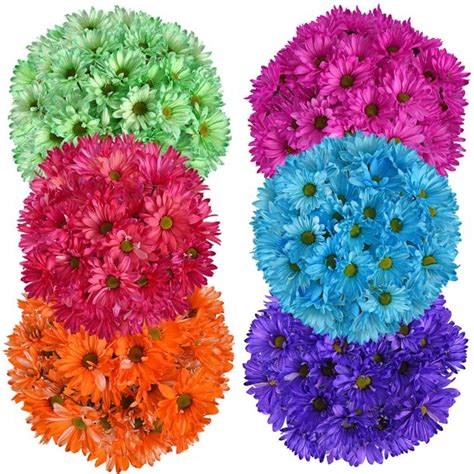 Assorted Tinted Crazy Daisies Fresh Cut Flowers 60 Stems By