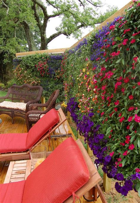 15 Privacy Screen Backyard Ideas That Will Amaze You The Art In Life