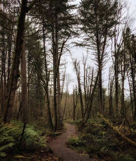 Newell Creek Canyon Nature Park Is The Newest Park In Oregon