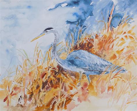 Great Blue Heron Watercolor Painting By Laura Christie Eddington Artworks