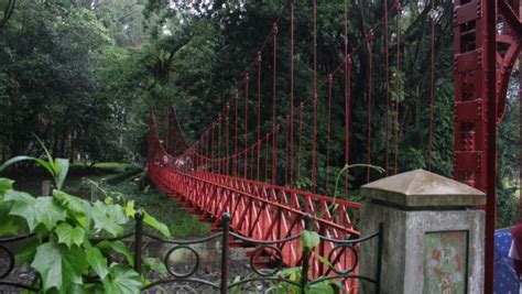Mitos Jembatan Merah Kebun Raya Bogor Yang Sejoli Dipisahkan Yang