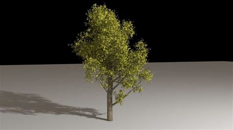 3d Model Houdini Tree Generator Asset Vr Ar Low Poly Rigged Animated