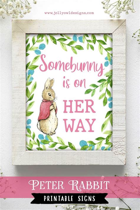 Peter Rabbit Flopsy Bunny Baby Shower Party Signs Somebunny Is On Her