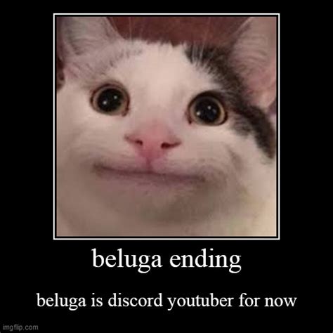 All Beluga Discord Pfp Download All Beluga Characters