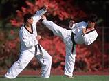 Pictures of Taekwondo Types