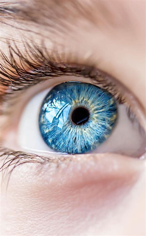 Stunning Blue Eyes Contact Lenses Uk Buy Online Contact Lenses Uk Eye Contact Lenses