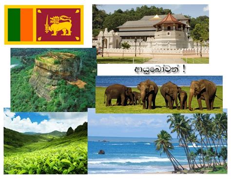 Ceynews Welcome To Sri Lanka