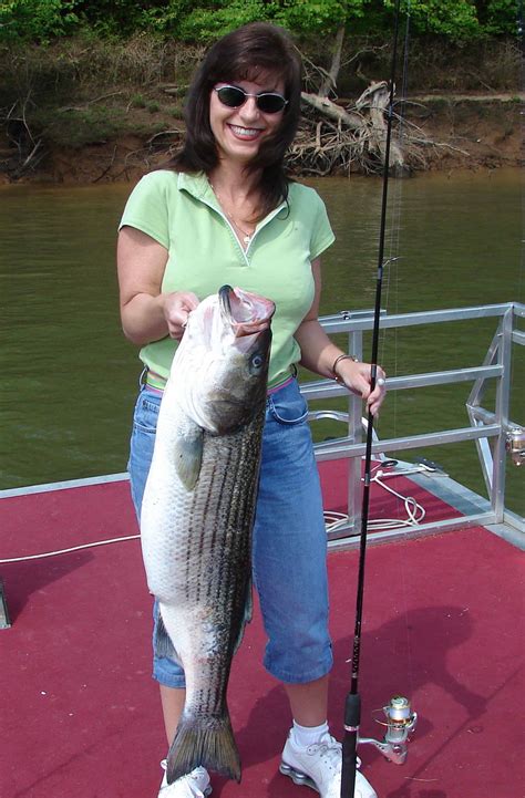 North Carolinas Roanoke River Is A Striper Fishermans Paradise In April